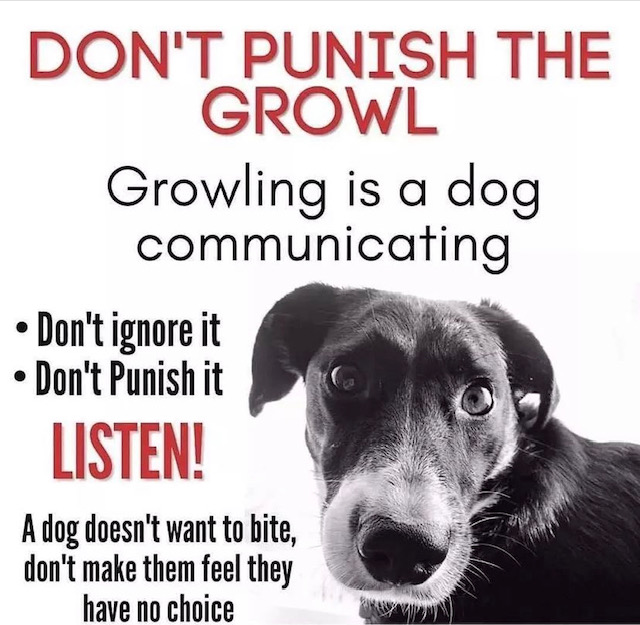 Don't punish the growl