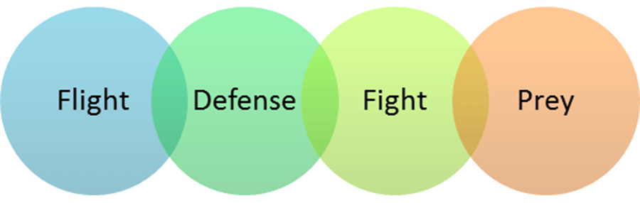 Flight - Defense - Fight - Prey