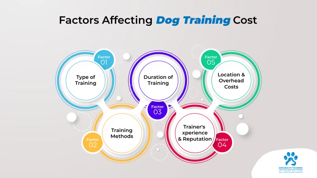 Factors Affecting Dog Training Cost