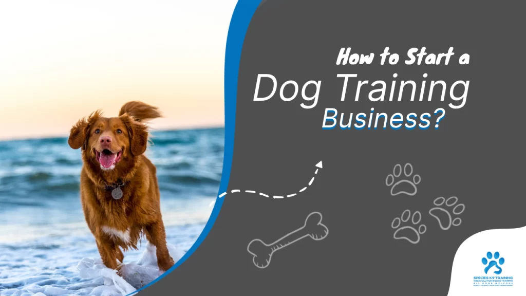 How to Start a Dog Training Business