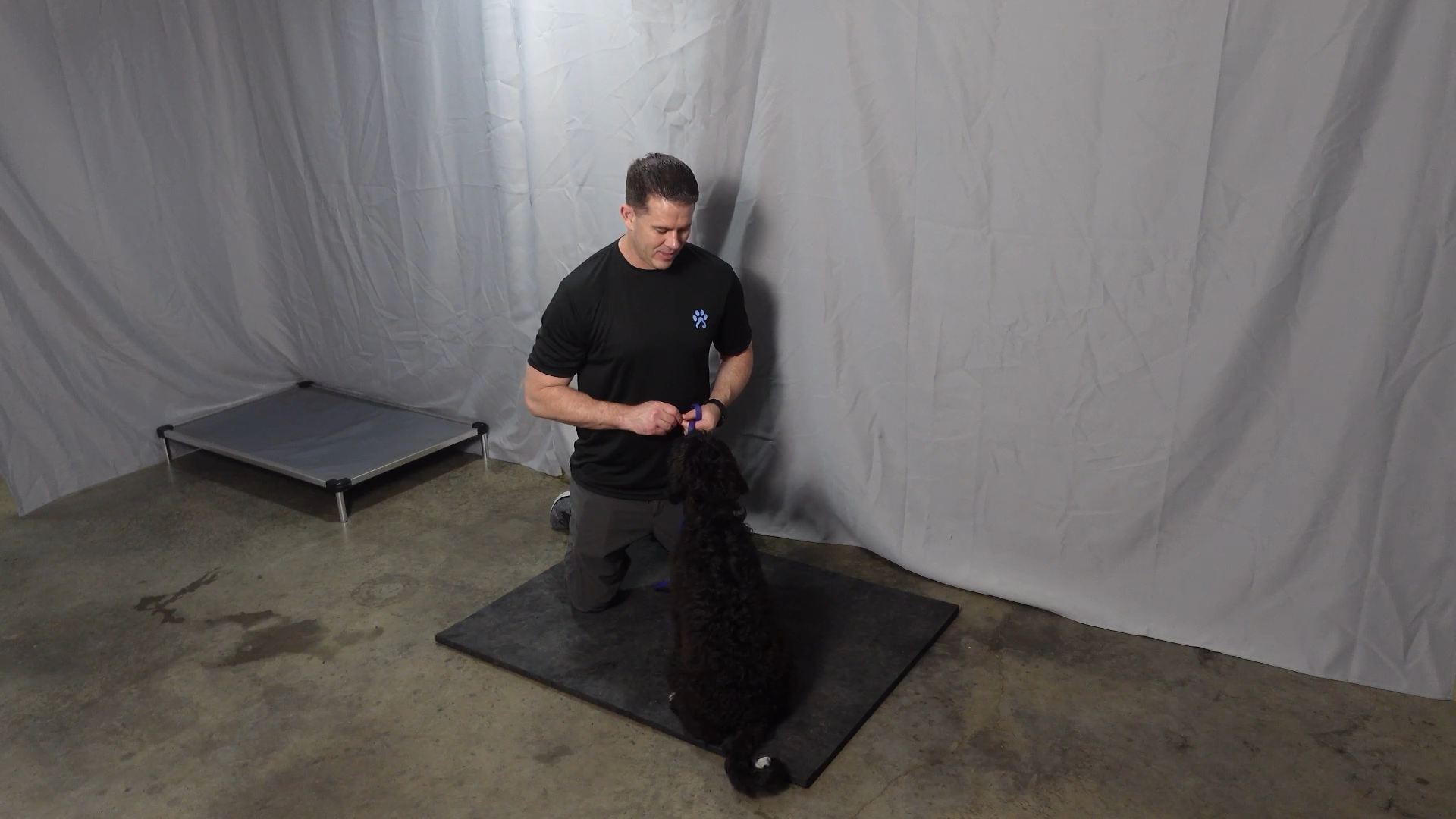 LIMA Dog Training with Jared