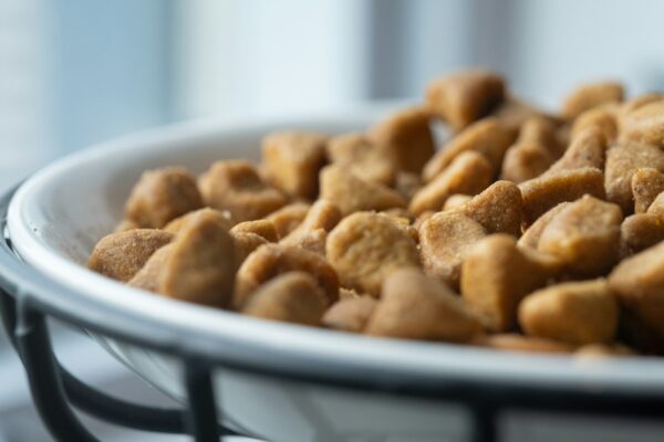 a close up of a bowl of food