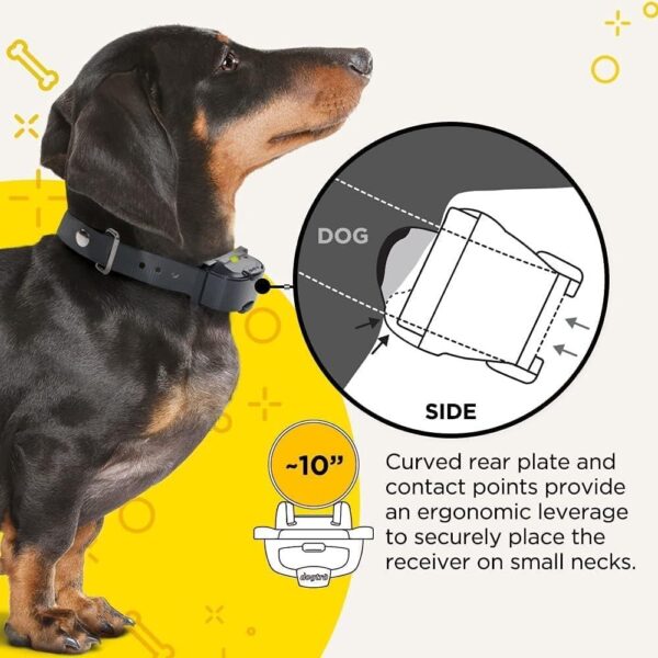 Dogtra iQ Mini Rechargeable Waterproof Mini Dog Training E-Collar with Water-Resistant Remote - Image 4