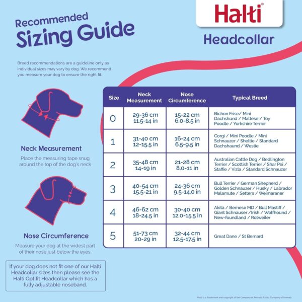 HALTI Headcollar - To Stop Your Dog Pulling on the Leash. Adjustable, Reflective and Lightweight, with Padded Nose Band. Dog Training Anti-Pull Collar for Medium Dogs (Size 3, Black) - Image 3