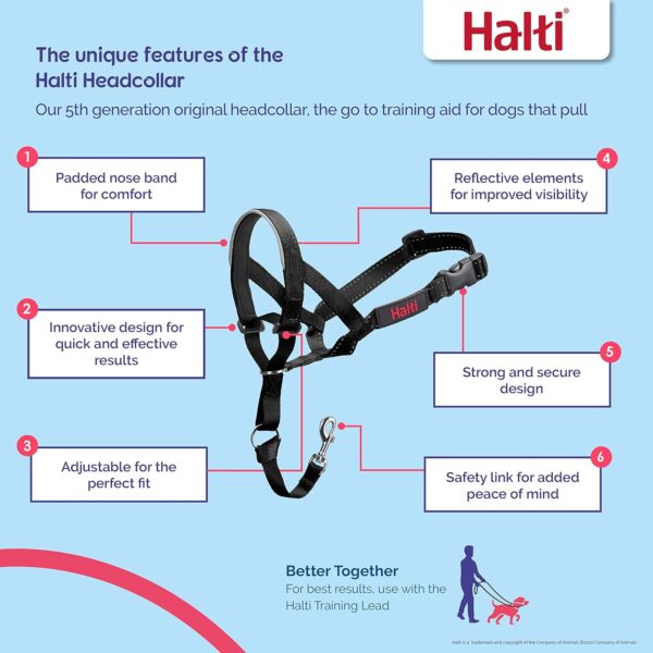 HALTI Headcollar - To Stop Your Dog Pulling on the Leash. Adjustable, Reflective and Lightweight, with Padded Nose Band. Dog Training Anti-Pull Collar for Medium Dogs (Size 3, Black) - Image 2