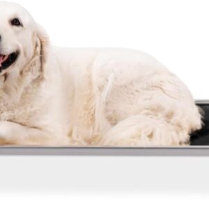 K9 Ballistics Chew Proof Elevated Dog Bed - Made for Aggressive Chewers, Indestructible Cot, Heavy Duty, 120-Day Warranty, Washable, Pre-Assembled, Fits Crates Large 41"x27" Obsidian Black